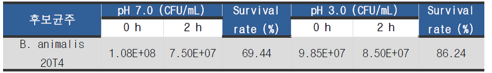 B.animalis 20T4의 내산성