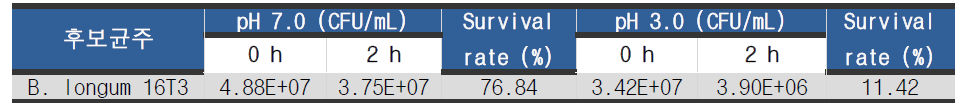 B. longum 16T3의 내산성