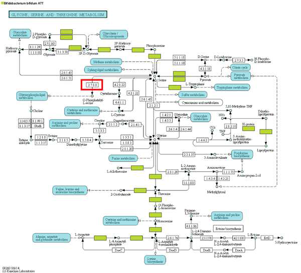 혈소판 생성 관련 phosphatidylserine 생산 관련 유전자 확인