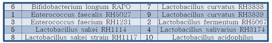1차년도 선발 균주 10종
