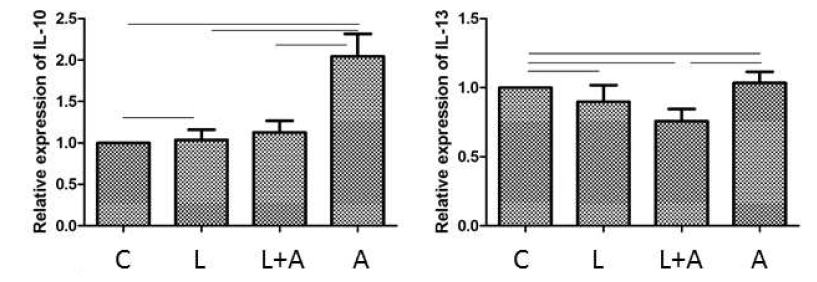 인간 장 세포주에서 A. muciniphila와 L. rhamnosus 처리에 의한 IL-10와 IL-13의 변화 (C :　Control, L：　L. rhamnosus, A : A. muciniphila)