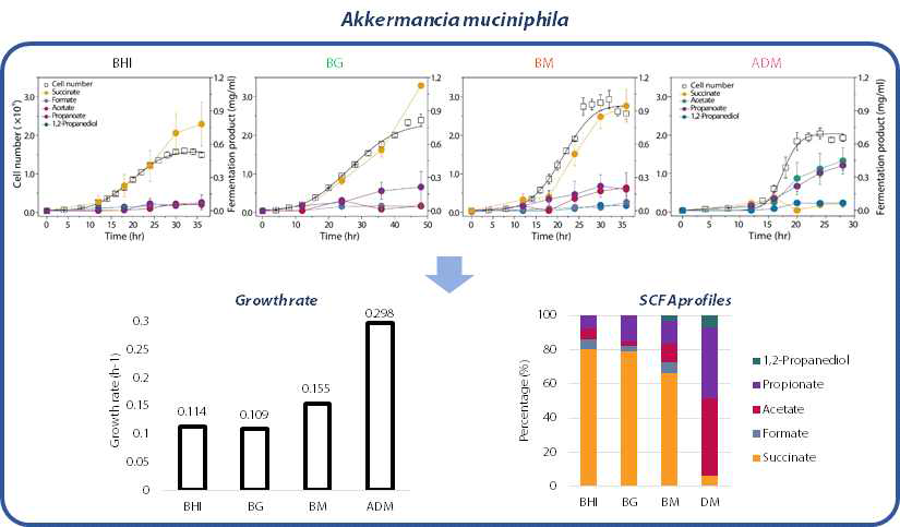 A. muciniphila의 영양원에 따른 균체 성장 및 대사산물 분석