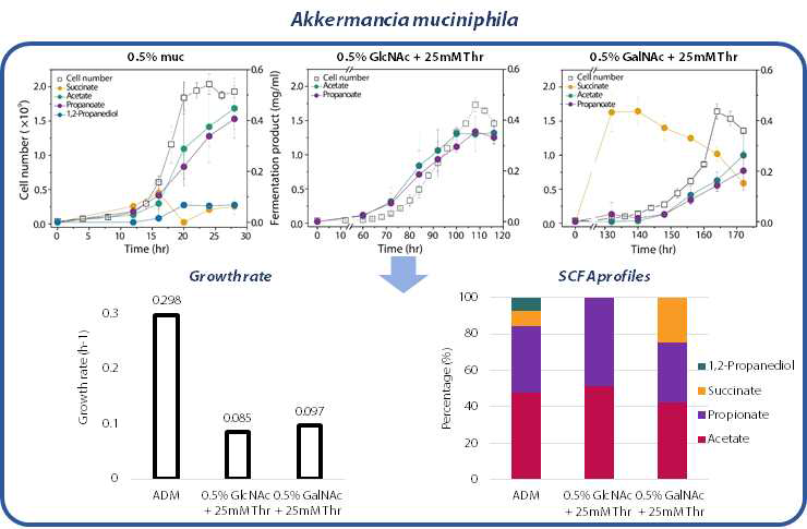A. muciniphila의 단일 영양원에 따른 균체 성장 및 대사산물 분석