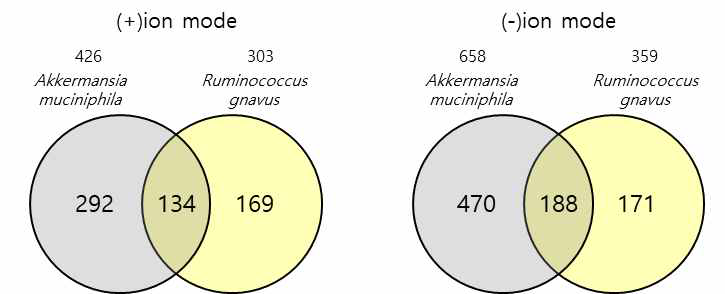 미생물에 의하여 특이적으로 배지내에서 증가 혹은 감소하는 분자이온(대사물질)의 수