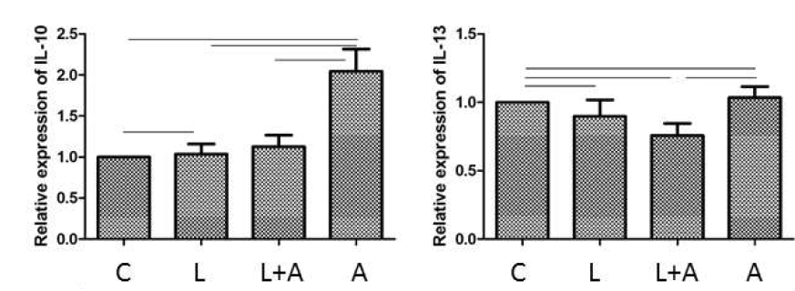 인간 장 세포주에서 A. muciniphila와 L. rhamnosus 처리에 의한 IL-10와 IL-13의 변화 (C :　Control, L：　L. rhamnosus, A : A. muciniphila)