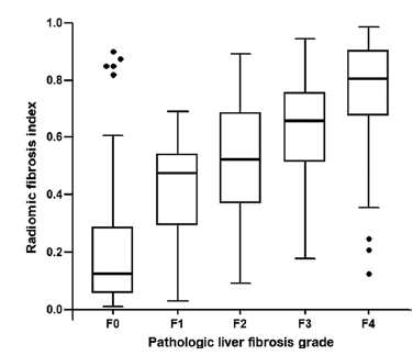 Radiomic fibrosis index와 병리적으로 확인된 간섬유화 stage와의 관련성