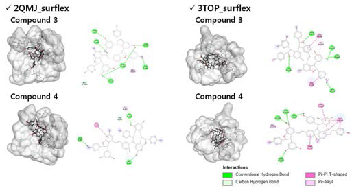 Docked pose of isolated compounds in binding site of α-glucosidase