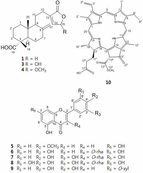 Chemical structure of compounds 1-10 from T. orientalis