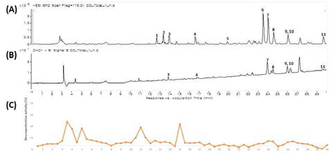 MS chromatogram in negative ionization mode (A); UV chromatogram in 254 nm (B); neuroprotective activity of each 30 s intervals eluent (C) of D. dasycarpus