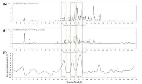 HPLC chromatogram of EtOAc fraction of H. japonicus [A] The total ion current (TIC) from ESI-MS in negative mode. [B] TIC in positive mode. [C] Time-dependent tyrisonase inhibitory activity EtOAc-soluble fraction of H. japonicus