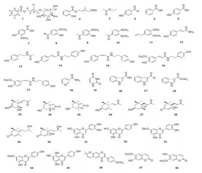 Chemical structures of compounds isolated from the aerial parts of H. japonicus