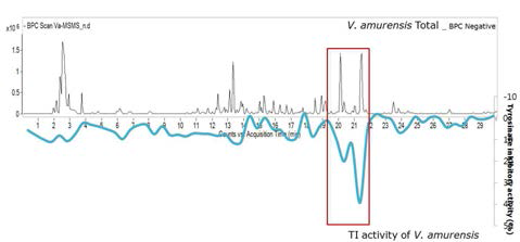 HPLC chromatogram of V. amurensis with simultaneous tyrosinase inhibitory activity. [A] The total ion current from ESI-MS in negative mode. [B] Time-dependent tyrisonase inhibitory activity