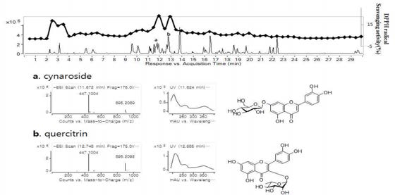 HPLC chromatogram of P. orientale with simultaneous DPPH radical scavenging activity