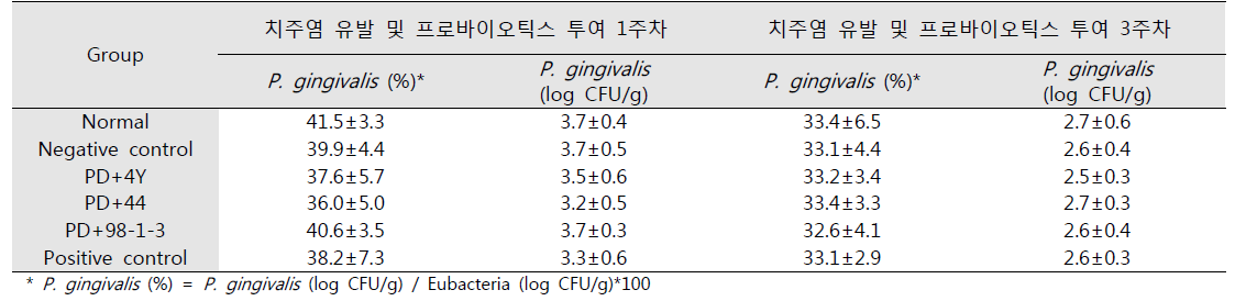 치주염 유발 및 프로바이오틱스 투여 중 동물모델 분변 내 구강유해균(Porphyromonas gingivalis)에 대한 qRT-PCR 분석결과