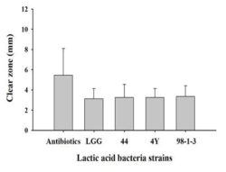 구강 유해세균(Prevotella intermedia, Fusobacterium nucleatum, Aggregatibacter actinomycetemcomitans)에 대한 항생제 10종, Lactobacillus rhamnosus GG 및 장수식품 유래 프로바이오틱스 후보균주(3개)의 항균효과(mm: mean±SD) 비교분석