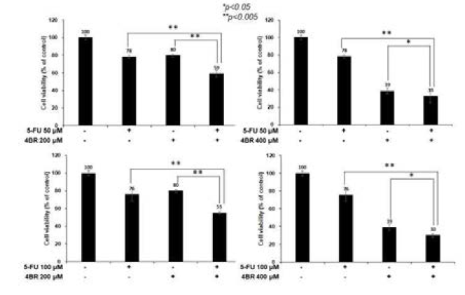 5-FU와 4-BR의 흑색종 세포독성 효과