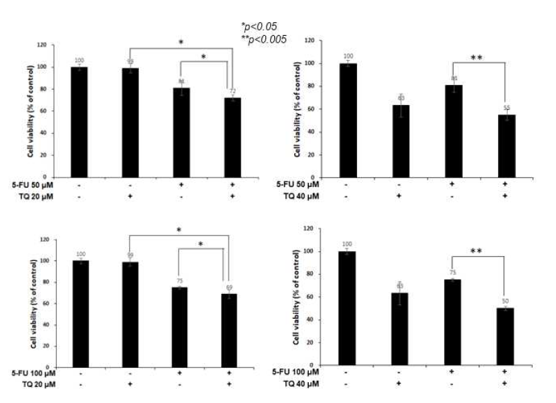 5-FU와 TQ 공동처리의 흑색종 세포독성 효과