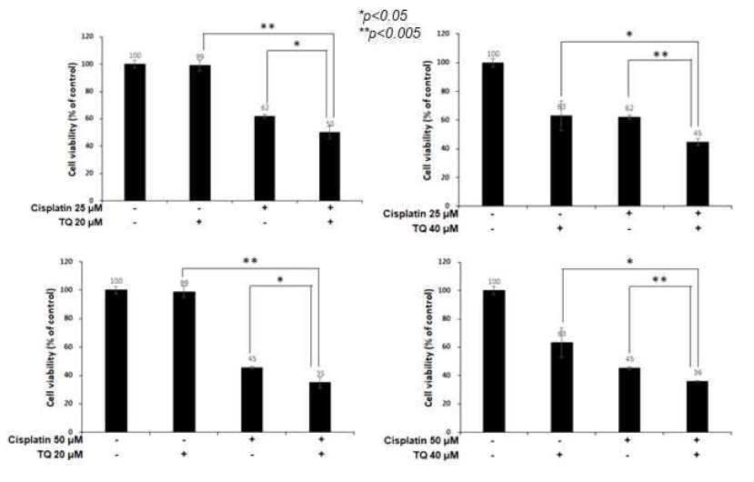 Cisplatin와 TQ 공동처리의 흑색종 세포독성 효과