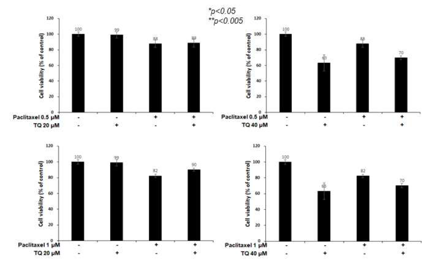 Paclitaxel와 TQ 공동처리의 흑색종 세포독성 효과