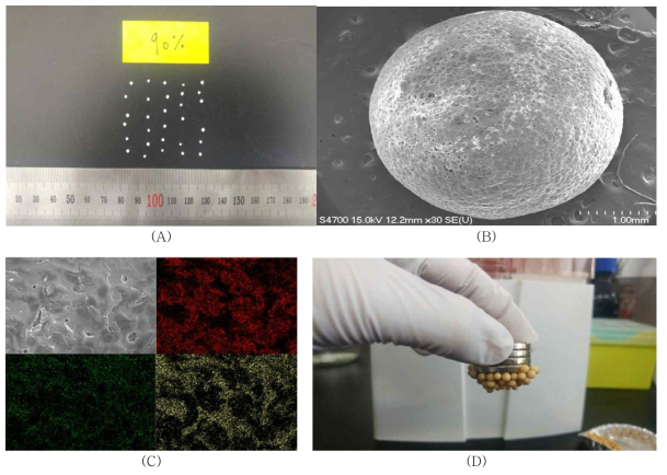 (A) 건조된 부유성 광촉매의 사진, (B) SEM을 이용해 확대한 표면과 (C) EDS를 이용해 mapping한 원소 분포 사진, (D) EPS 표면에 산화철을 부착시킨 부유성 광촉매의 사진