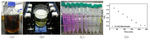 (A) 취수한 크롬 실 폐수와 (B) 규모를 키워 설계한 현장 모사형 반응조, (C) 일정 시간 간격으로 샘플링 한 폐수 속에 함유된 크롬의 발색 반응,(D)흡광광도계로 분석한 발색한 6가크롬의 잔류농도 그래프