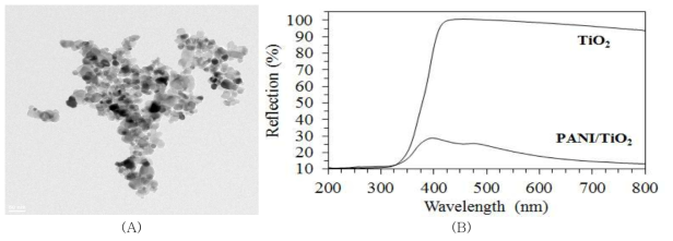 합성된 PANI/TiO2 광촉매의 (A) FE-TEM 사진과 (B) UV-VIS 확산반사 분광 스펙트럼