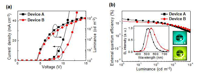 제작된 소자의 (a) 전류-전압-휘도 특성 및 (b) 외부양자효율 그래프