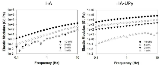 HA와 HA-UPy의 농도 및 Frequency에 따른 탄성계수의 변화