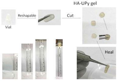 HA-UPy 하이드로젤의 자가회복 특성 사진