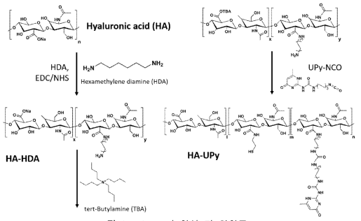 HA-UPy의 합성 및 화학구조