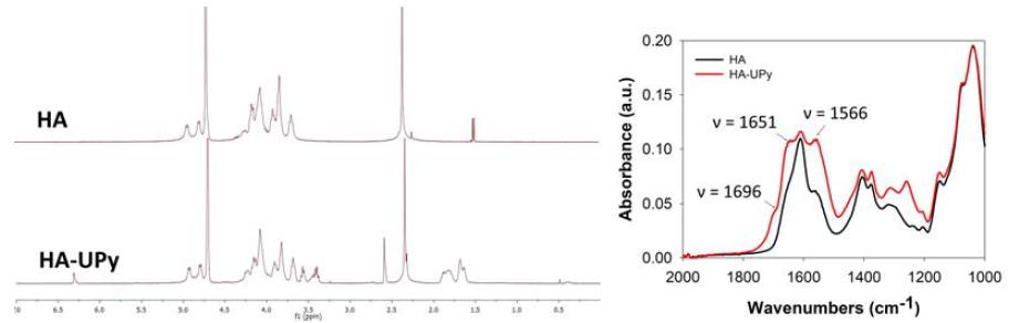 HA와 HA-UPy의 1H NMR (좌), FT-IR (우) spectra