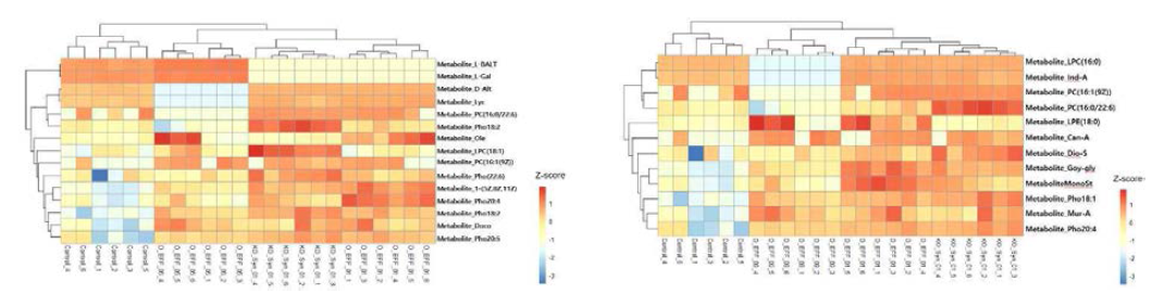 Control 군 대비 균주 투여 군 대사산물 비교 분석 heatmap