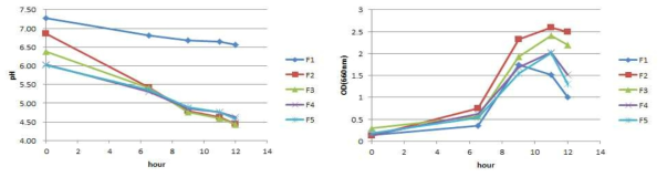 Flask 배양에서 배지 조성에 따른 유산균 배양액의 pH (좌)와 흡광도 (우) 변화