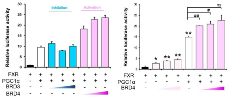 FXR과 결합한 BRD 3와 4에 의한 유전자 발현 조절