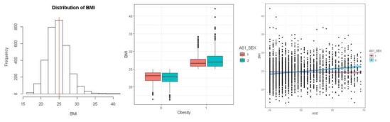 분석에 이용된 샘플내 BMI정보 요약