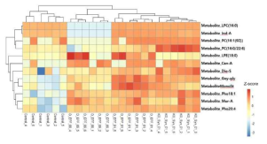 Control군 대비 균주 투여 군 대사산물 비교 분석 heatmap