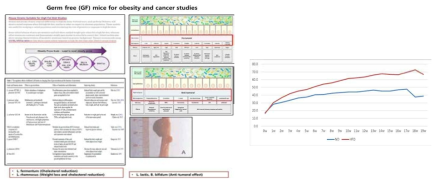 암/비만 유도 노토바이오틱 마우스 제작 관련 프로바이오틱스