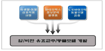 연구개발 개요 모식도