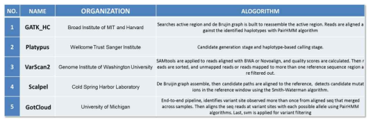 INDEL calling tool 비교분석에 사용한 tool