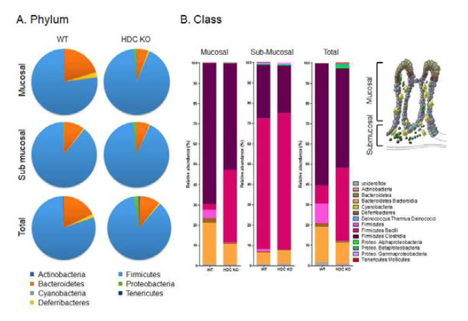 16s rRNA 메타지노믹스를 통한 Stomach에 존재하는 microbiome 분석