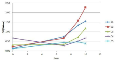 Flask 배양에서 탄소원에 따른 흡광도의 변화