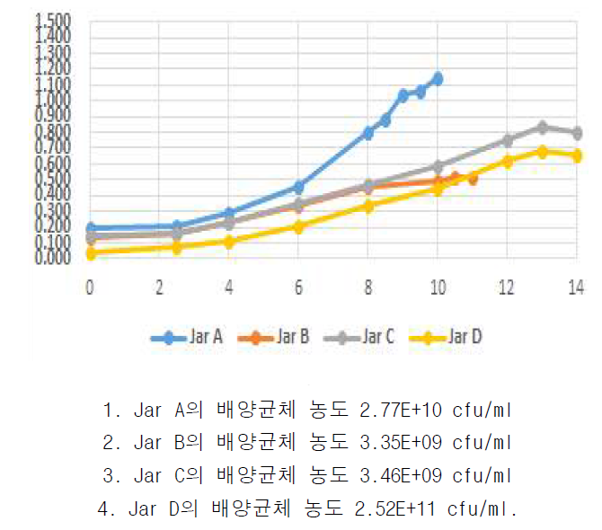 배양 조건에 따른 유산균의 배양성 확인