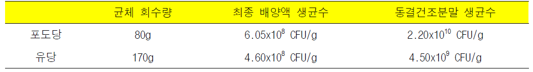 포도당과 유당을 사용했을 때 L. helveticus의 회수량과 생균수