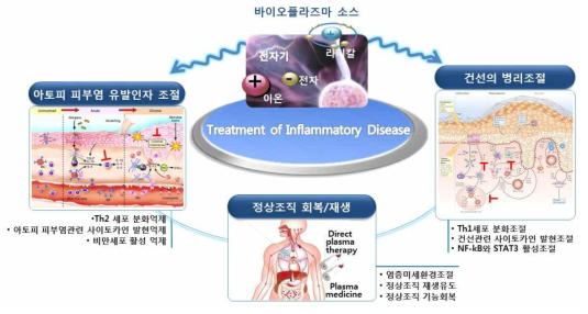 바이오플라즈마의 염증성 질환 치료 기전