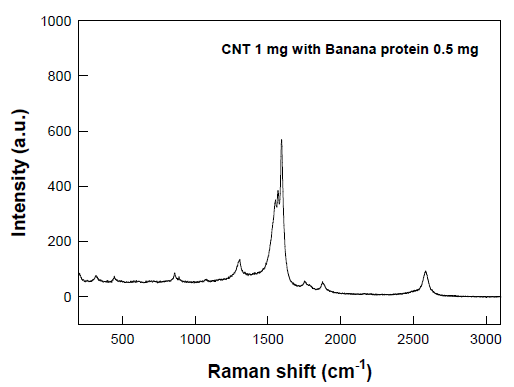 바나나-탄소나노튜브 멤브레인의 raman spectroscopy 분석