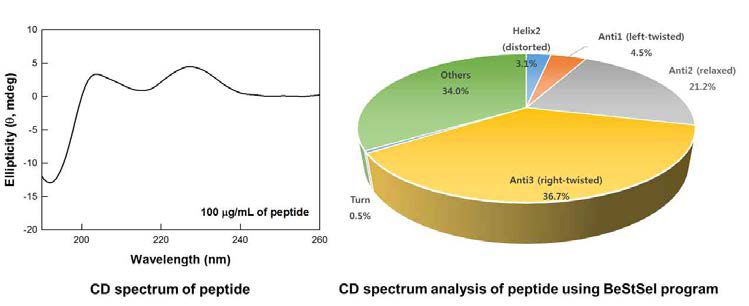 CD spectrum을 이용한 peptide 구조 분석