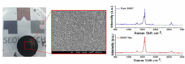 바나나 단백질을 이용한 카본나노튜브 대면적화 (좌) 및 SEM을 이용한 표면 분석, Raman 분석을 통한 SWNT의 물성변화 평가