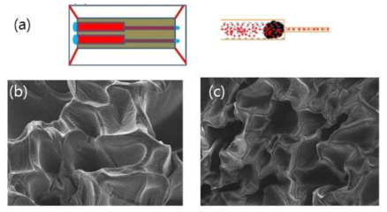 (a) 나노입자 약물전달체를 도입한 소자의 예시, (b)와 (c)합성된 하이드로 젤 입자의 나노공극의 전자현미경 사진