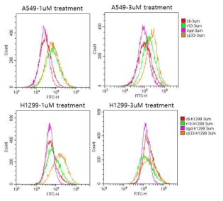 비소세포폐암에 CPP33-HOXA9 펩타이드가 세포 투과성이 가장 좋음을 확인