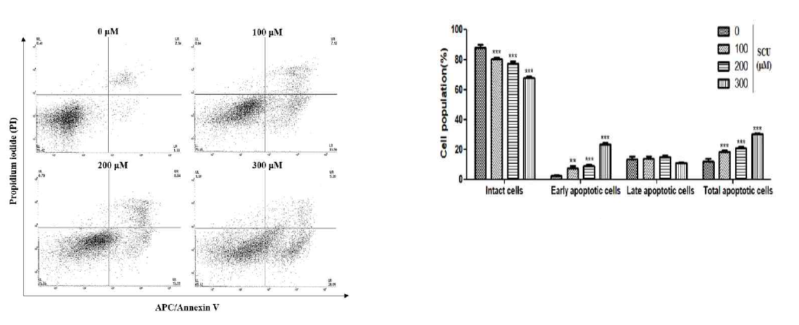 Scutellarein (SCU) induces apoptosis in Hep3B cells. To quantify the extent of SCU-induced apoptosis, the cells were untreated or treated with SCU at indicated concentrations (100-, 200-, and 300-M) for 24 h